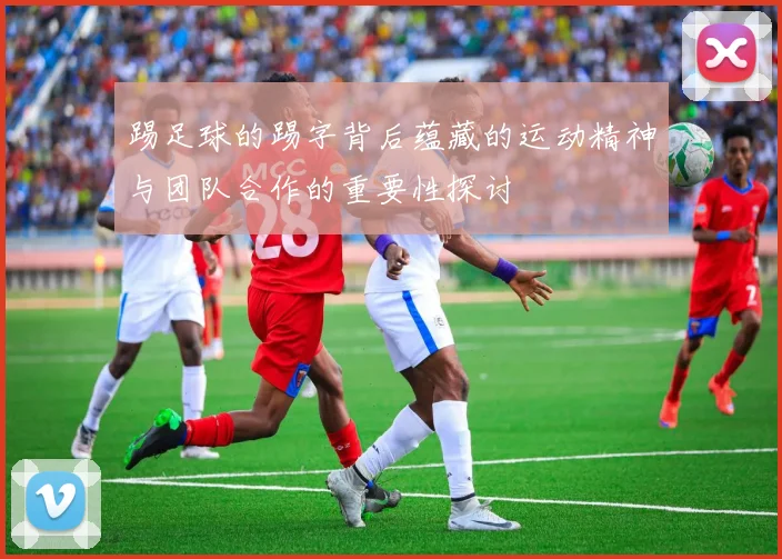 踢足球的踢字背后蕴藏的运动精神与团队合作的重要性探讨