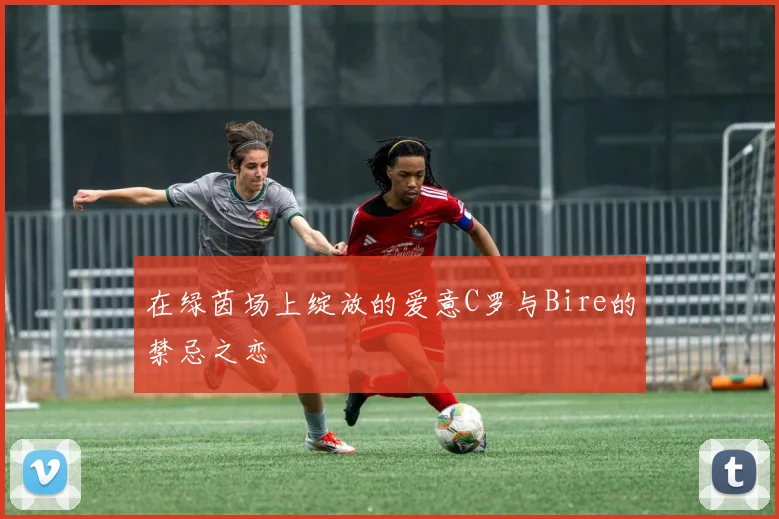 在绿茵场上绽放的爱意C罗与Bire的禁忌之恋